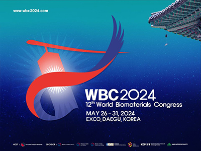 WBC 2024