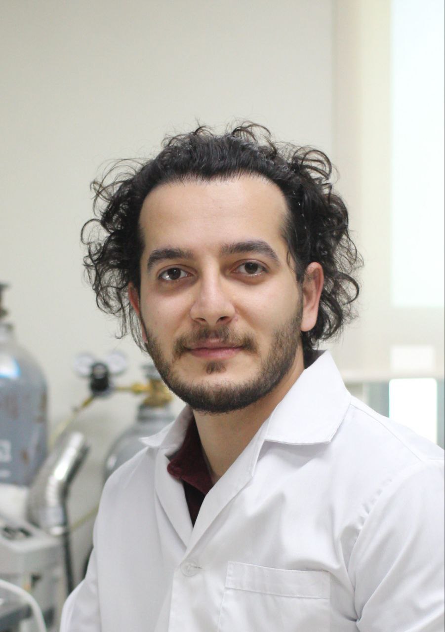 Seyed Aliakbar HOSSEINI TOOPGHARA